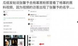 吃瓜视频网站黑料视频,揭秘网络背后的真相